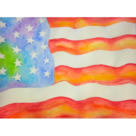 Rainbow American Flag